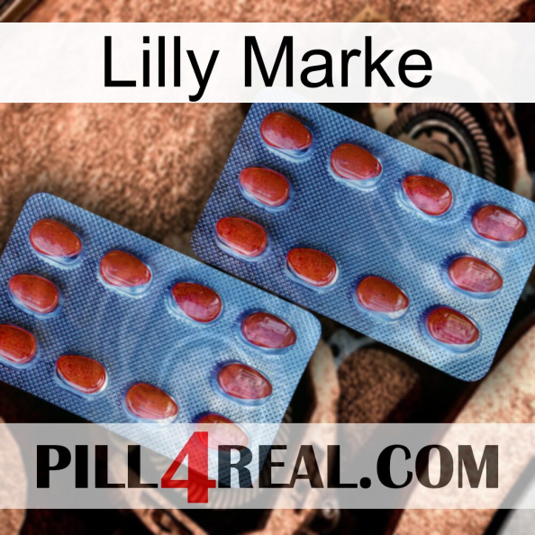 Lilly Brand 05.jpg